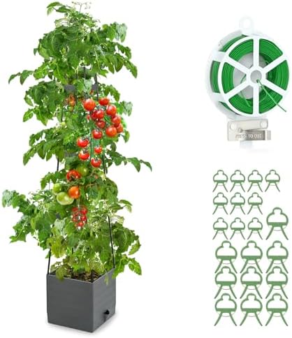Raised Garden Bed, Planter Boxes with Trellis 58.3'' Tomato Planters for Climbing Vine Vegetables Flowers Plants Self Watering Tomatoes Cage for Outdoor Patio Greenhouse