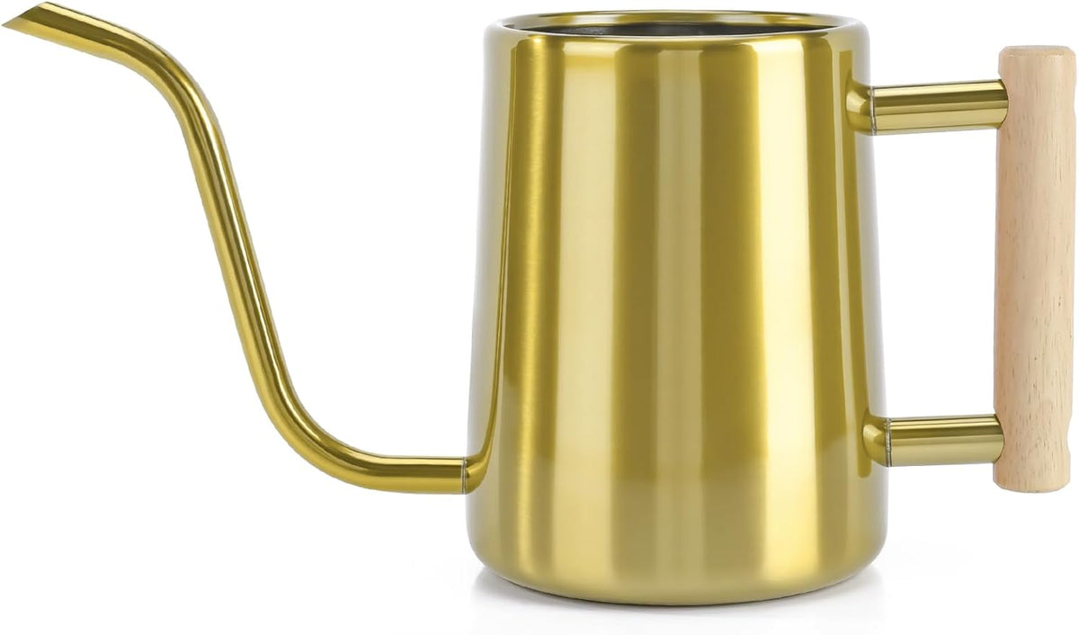 Watering Can Indoor Plants, 35 oz/1000 ml Metal Stainless Steel Watering Can Pot with Long Spout for Indoor House Plants Bonsai Outdoor Garden Flower Decorative (Green
