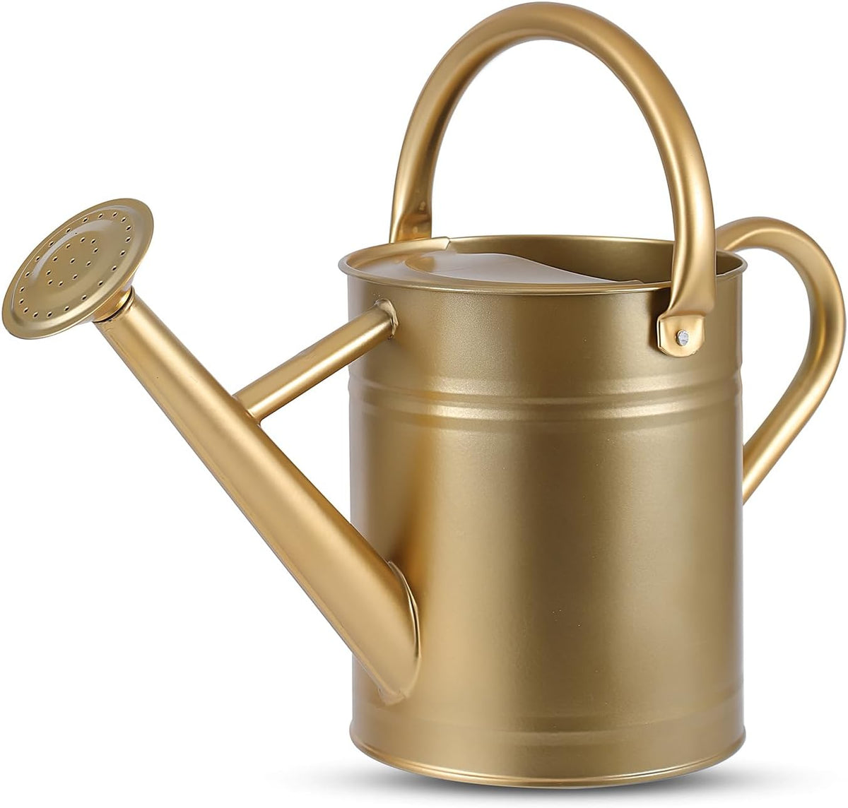 1 Gallon Watering Can for Plants, Watering Cans for Indoor&Outdoor Gardening, Galvanized Steel Watering Pot with Removable Spout, Metal Water Can with Ergonomic Movable Handle(White)