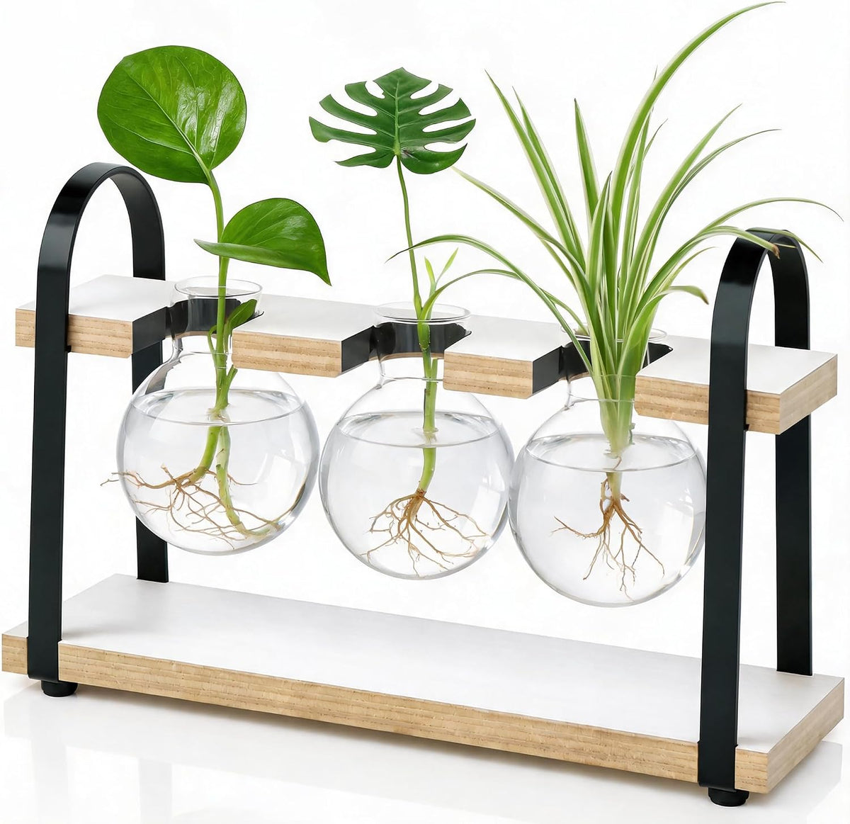 5-Bulb Plant Propagation Station, Glass Vase Terrarium, Wood Metal Stand