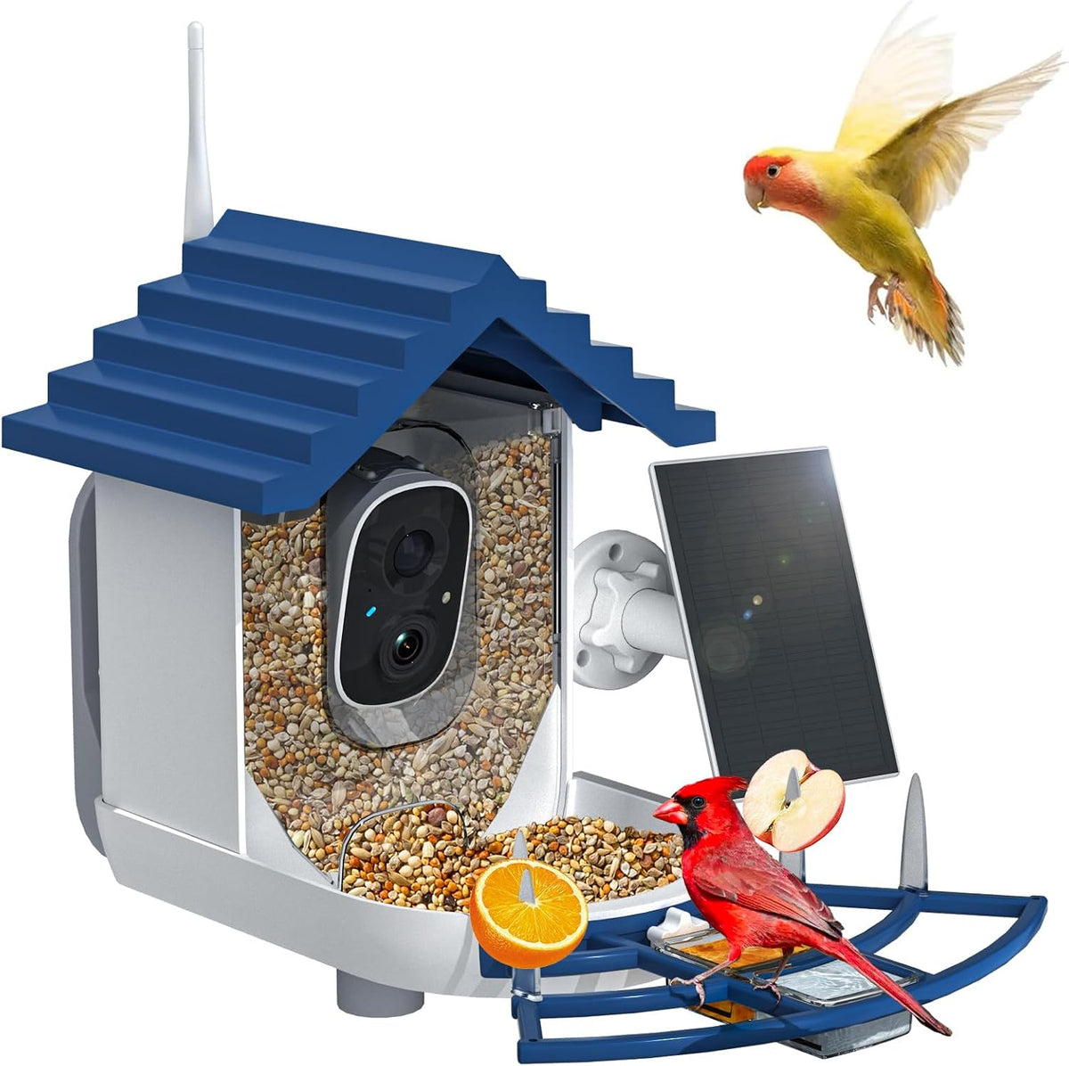 Smart Bird Feeder with Camera Solar Powered & AI Bi rd Identification, 2.4Ghz WiFi Bird feeders for Outdoors, 2K Live Video, Instant Arrival Alerts - Best Gifts for Bi rd Lovers - Green