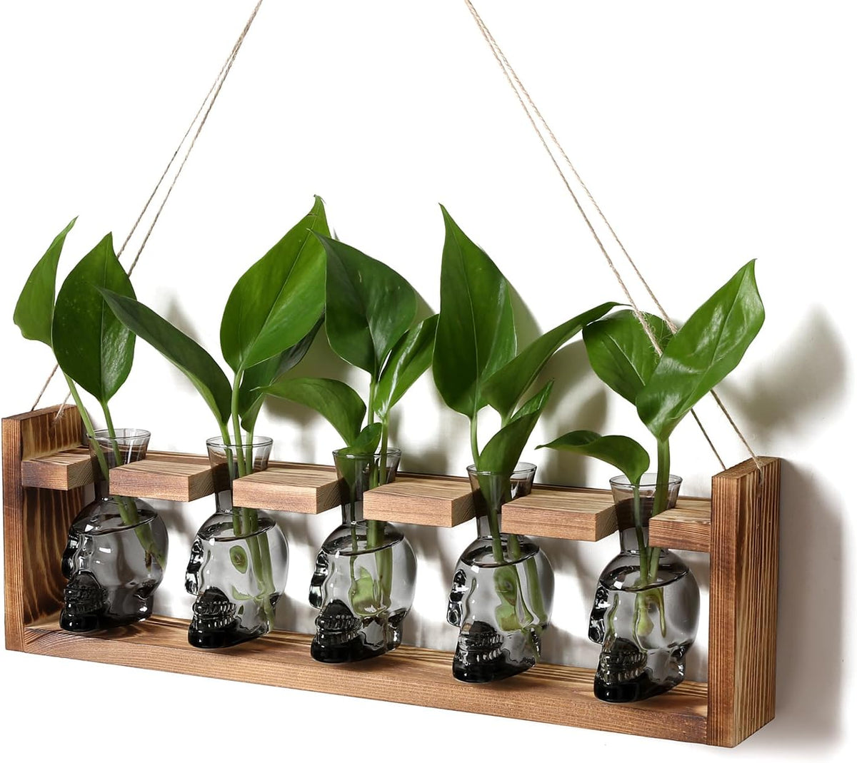 Plant Terrarium Propagation Stations Halloween Skull Planter Vase Skulls
