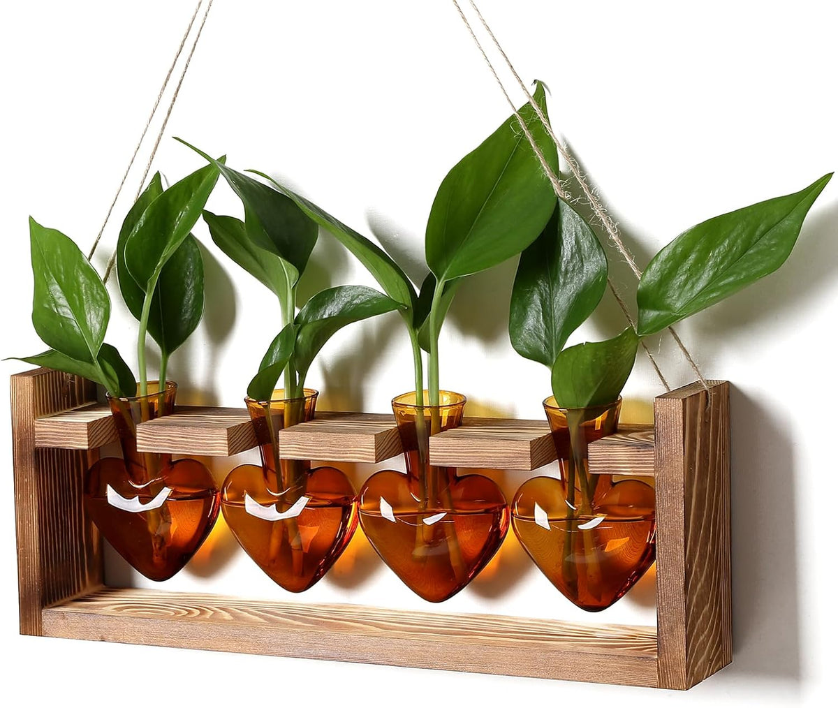 Plant Propagation Stations Heart Plant Terrarium Kit