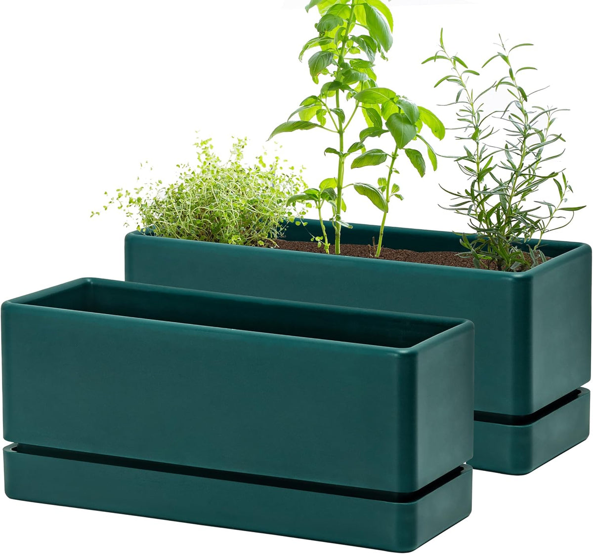 D'vine Dev Rectangular Planter, 12 x 4.5 in, White, Set of 1, 76-X-A-1