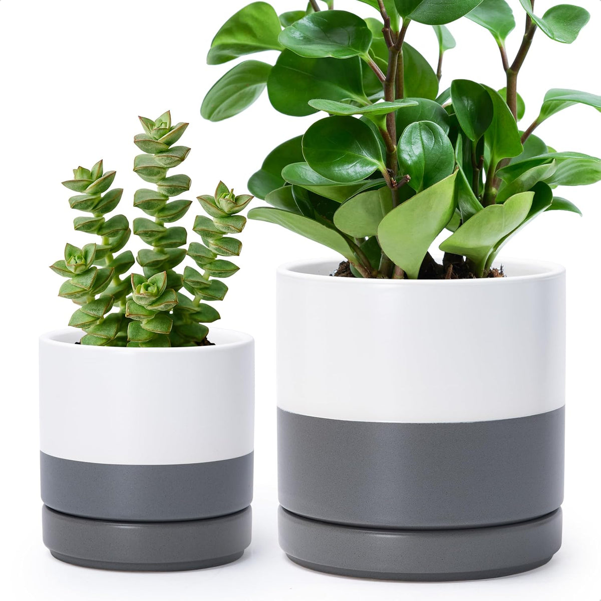D'vine Dev 2-Pack Ceramic Pots & Saucers, White, 3.5/4.7 in, 94-G-XS-1