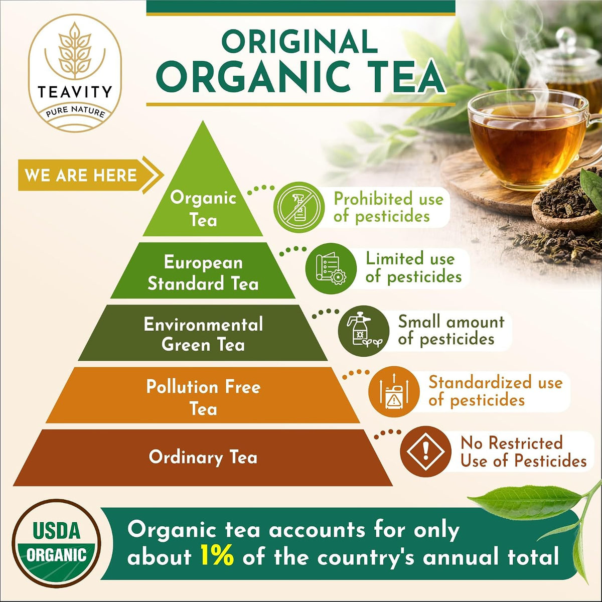 Organic Yerba Mate Refreshing Mint Tea Pods - Naturally Caffeinated Yerba Mate Tea Pod for Keurig Brewers by Teavity (24 Tea Pods)
