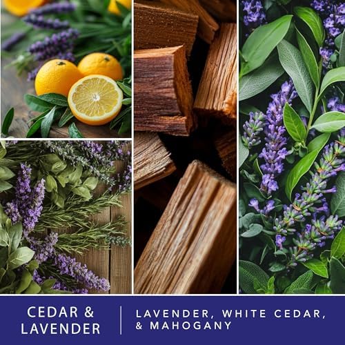 ScentSationals Cedar & Lavender Scented Wax Melts 10oz (24 Cubes)
