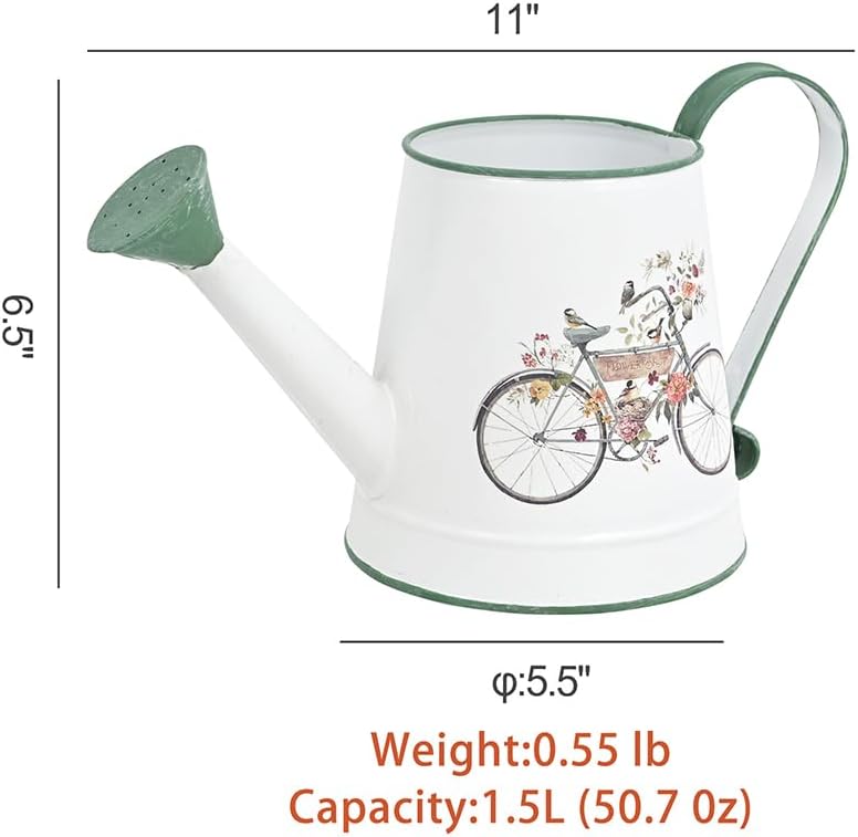 Small Metal Watering Can for Indoor & Outdoor Plants Garden Decor