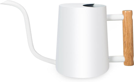 Watering Can Indoor Plants, 35oz Small Stainless Steel Metal Watering Can Modern Decorative Watering Pot with Long Spout for Indoor House Plant Bonsai Outdoor Garden Flowers -White