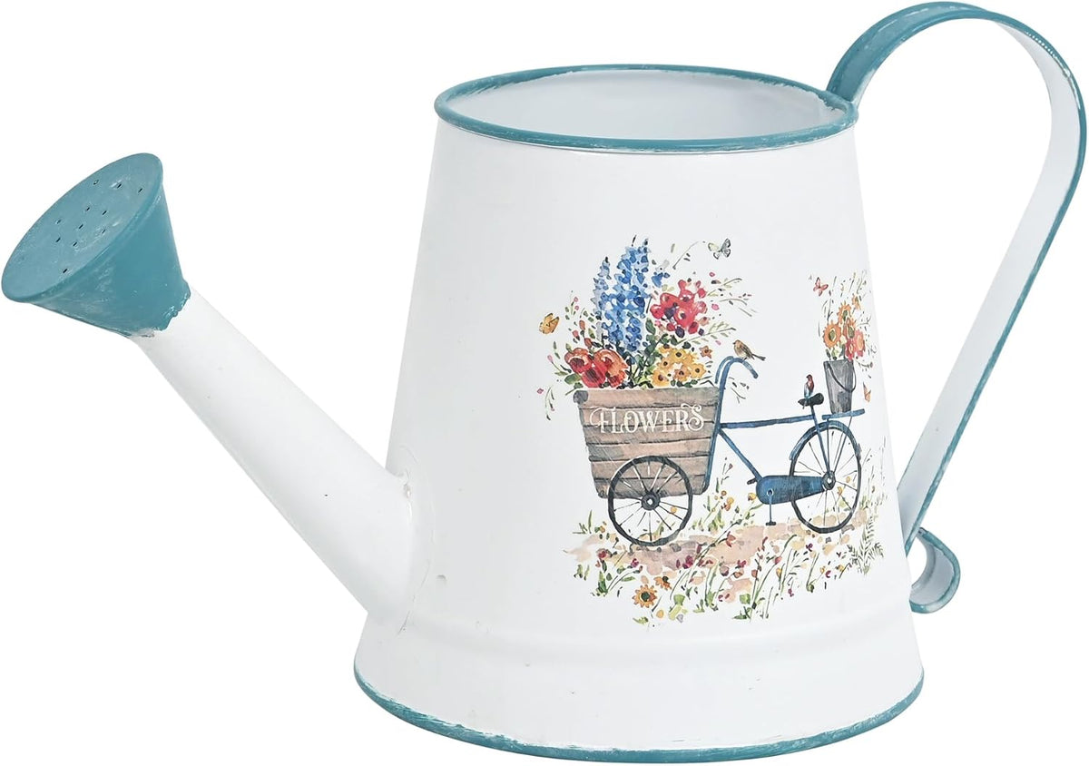 Small Metal Watering Can for Indoor & Outdoor Plants Garden Decor