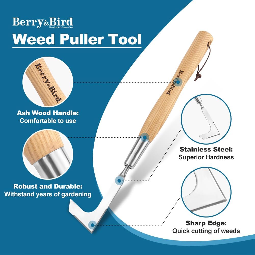 Crack Weeder Tool, L-Shaped Crevice Weeding Tool Garden Tools