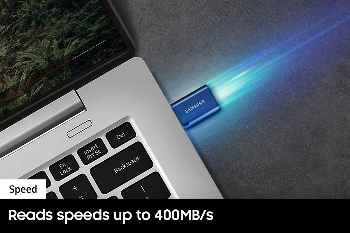 Samsung Type-C USB Flash Drive, 256GB, Transfers 4GB Files in 11 Secs w/Up to 400MB/s USB 3.2 Gen 1 Read Speeds, Compatible w/USB 3.0/2.0, Waterproof, 2022, Blue, MUF-256DA/AM