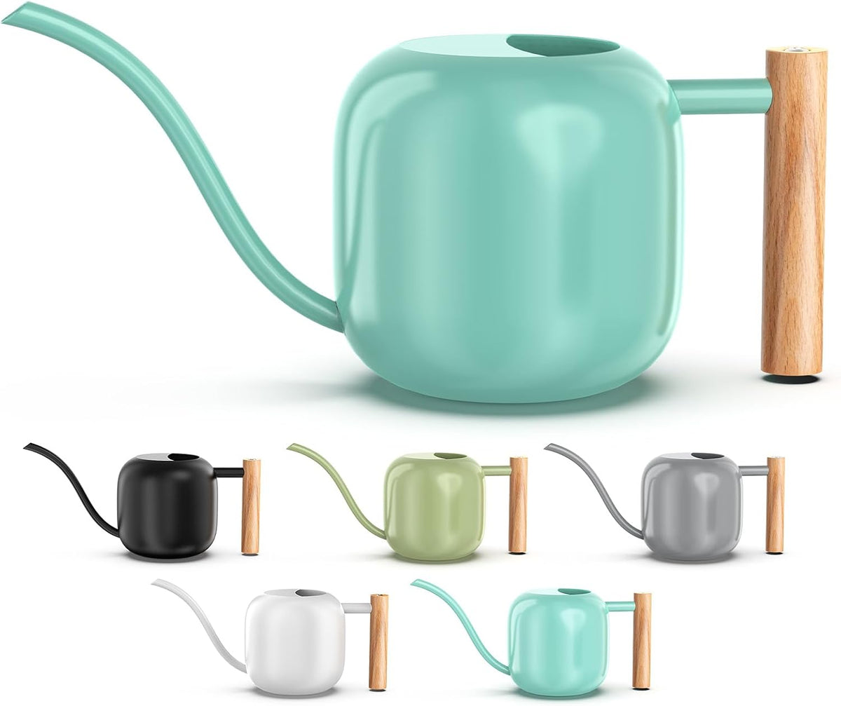 Green Moon 1.2L/41oz Metal Metal Watering Can with Long Spout, Sage Green