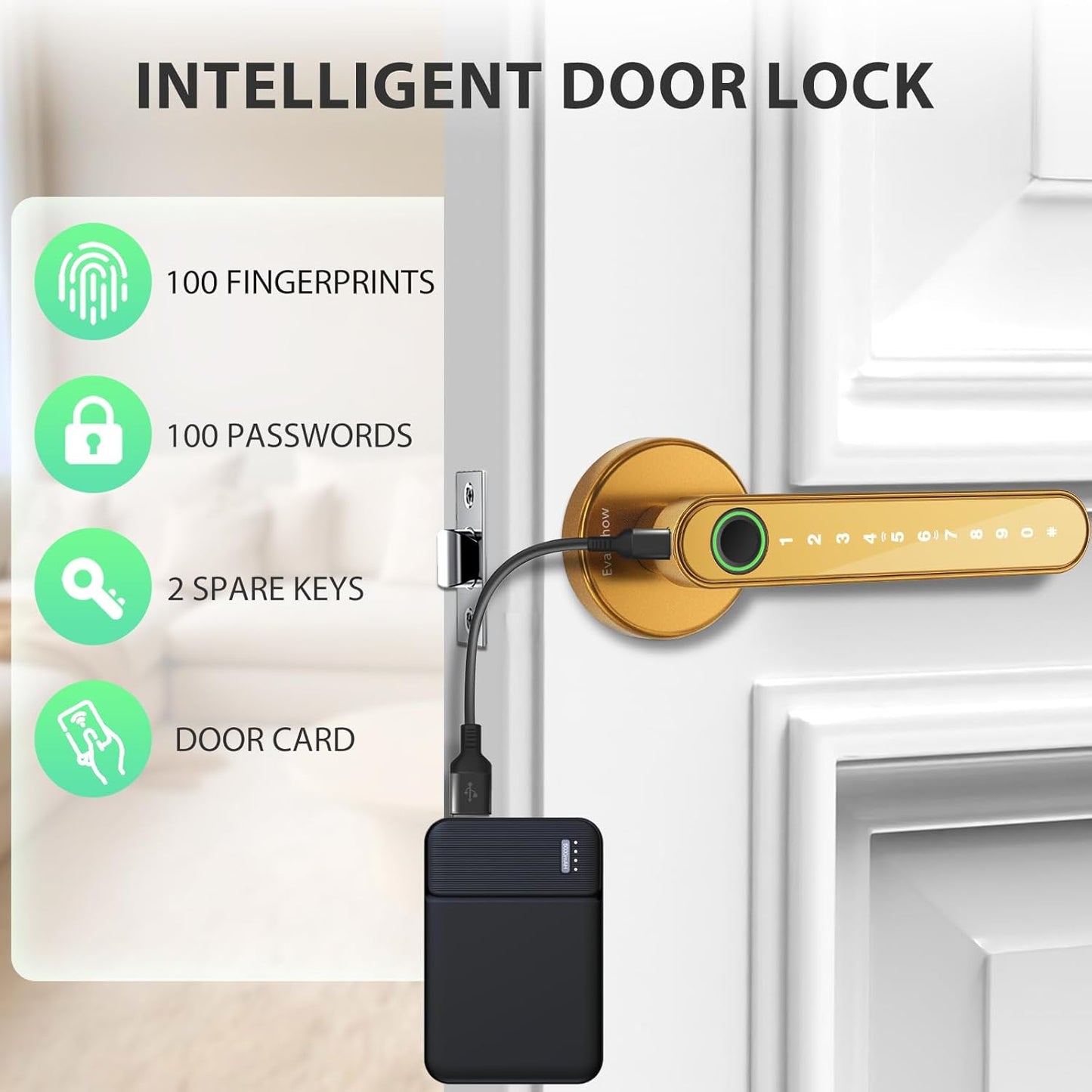 Fingerprint Door Lock Biometric Door Knob with Keypad Keyless Entry, Door Locks for Bedrooms, Home Hotel Office Apartment Gold