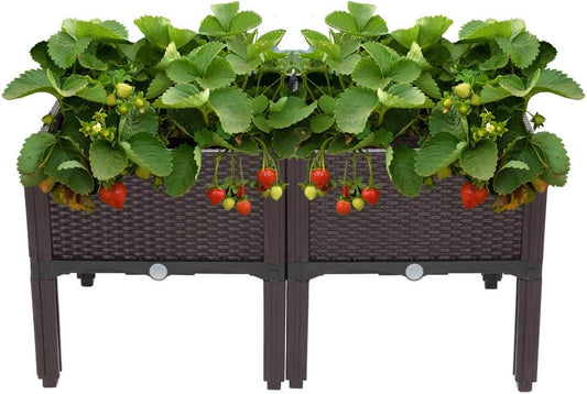 VINGLI Square Raised Garden Bed, Self-Watering Plastic Planter for Indoor Outdoor Vegetables, Fruits, Potato, Flowers, All Weather (2 Pcs)