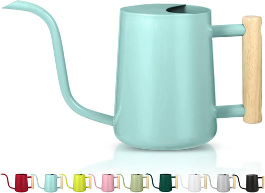 Watering Can Indoor Plants, 35oz Small Indoor Stainless Steel Metal Watering Can Modern Decorative Watering Pot with Long Spout for Indoor House Plant Bonsai Outdoor Garden Flowers Green