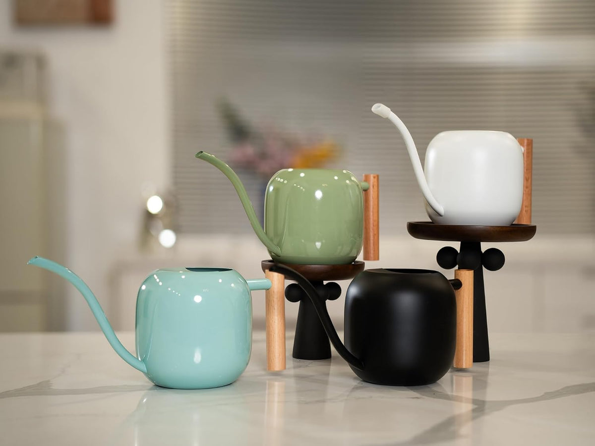 Green Moon 1.2L/41oz Metal Metal Watering Can with Long Spout, Black