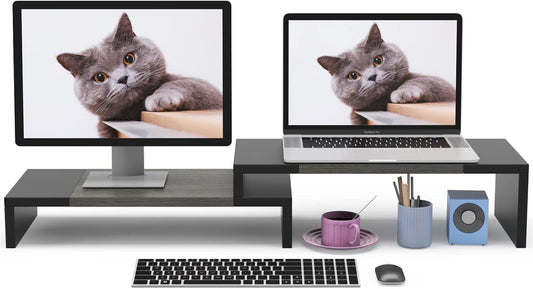 WESTREE Dual Monitor Stand Riser - 2 Shelf Computer Stand with Adjustable Length and Angle, Desktop Organizer for 2 Monitors