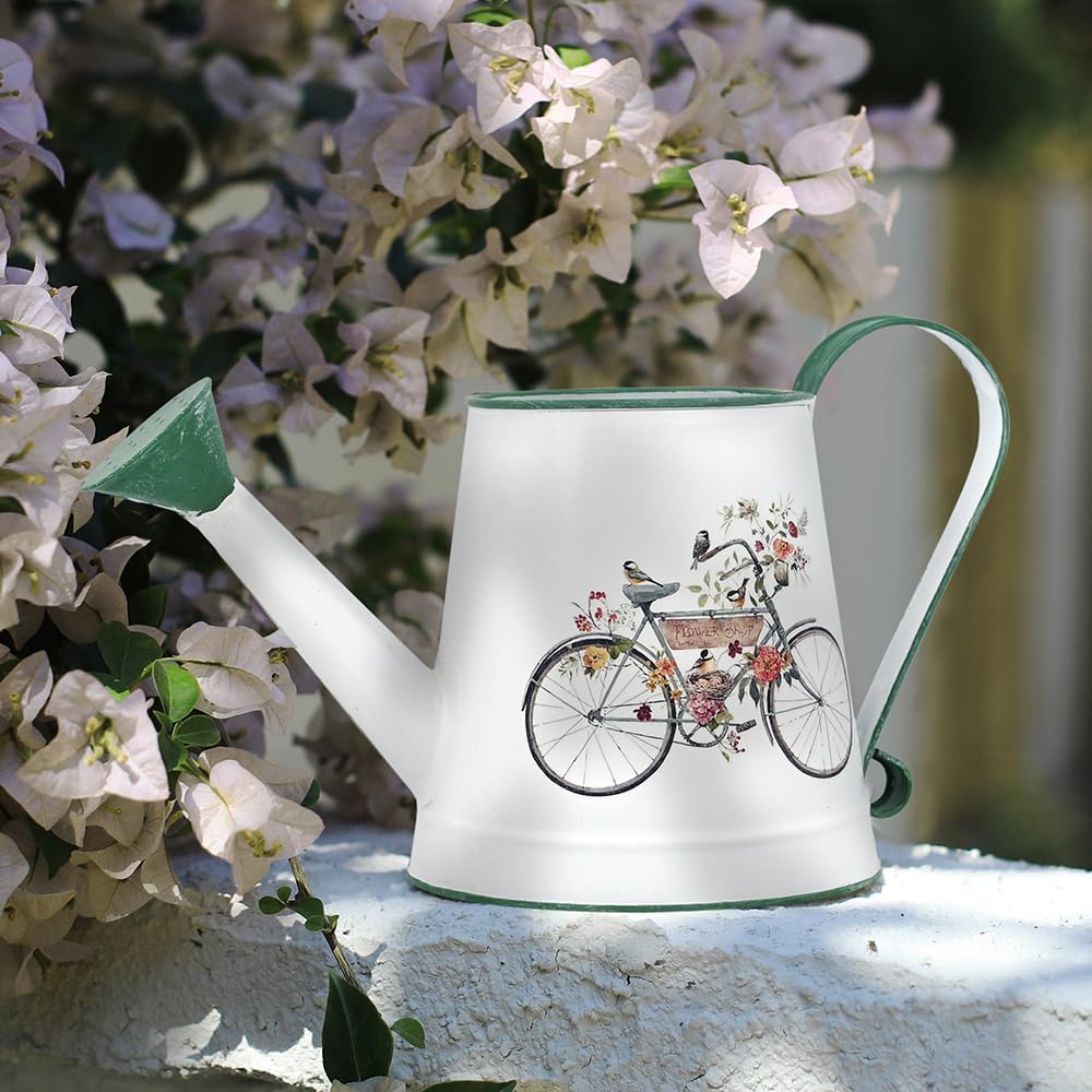 Small Metal Watering Can for Indoor & Outdoor Plants Garden Decor