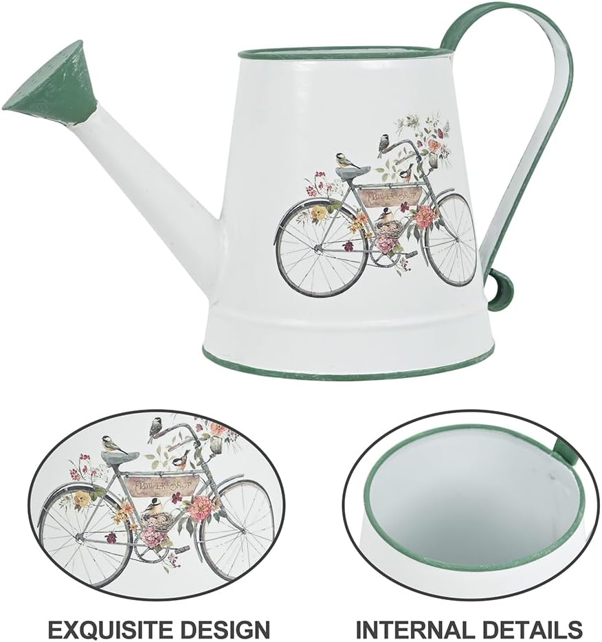 Small Metal Watering Can for Indoor & Outdoor Plants Garden Decor