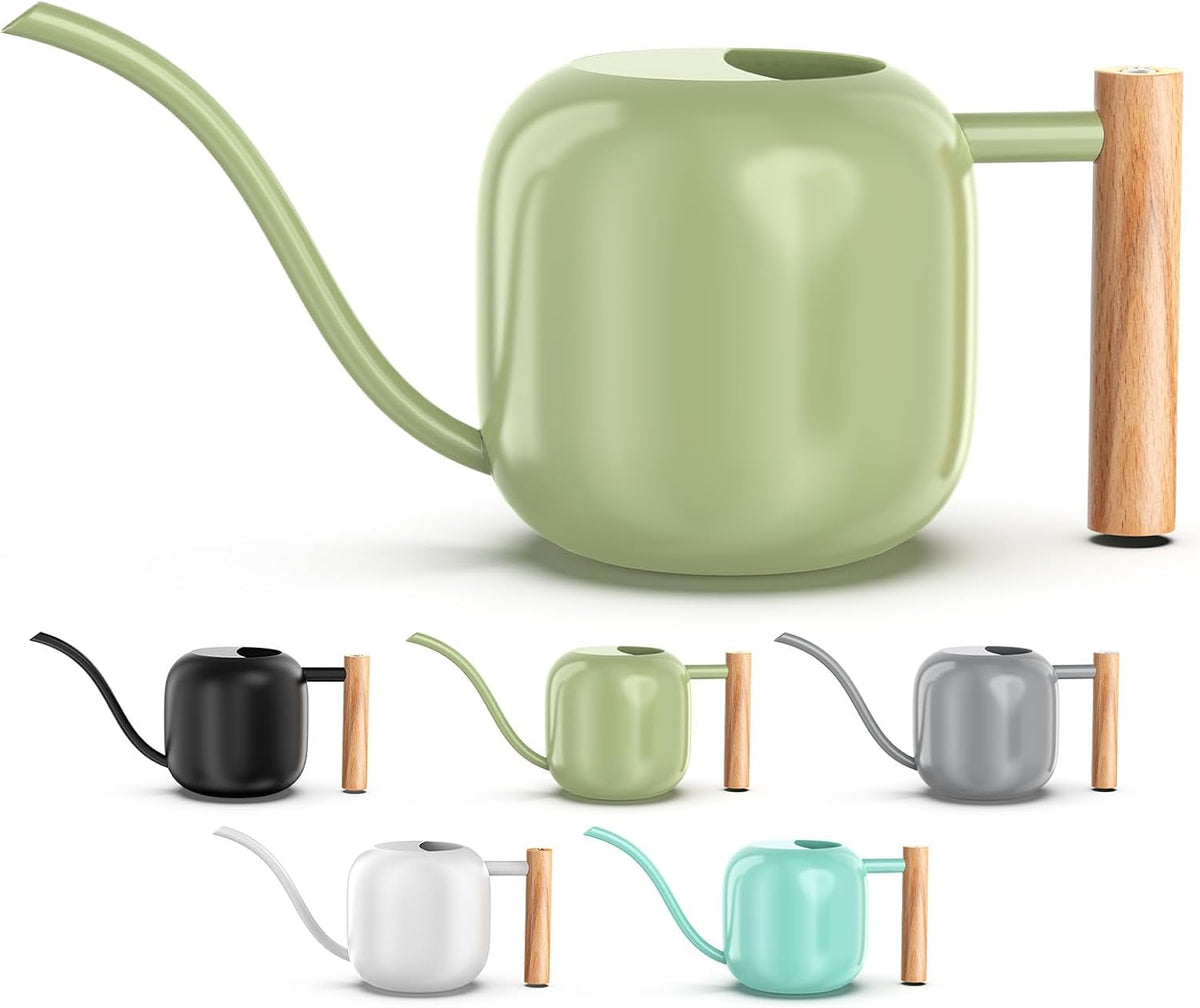 Green Moon 1.2L/41oz Metal Metal Watering Can with Long Spout, Sage Green