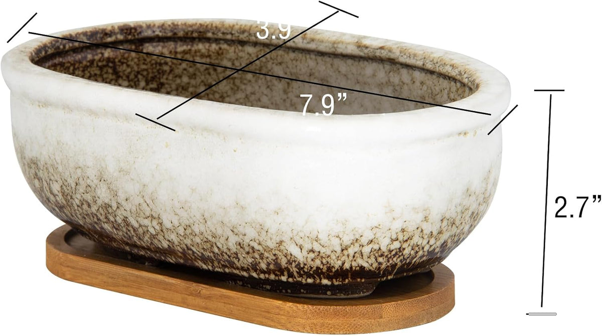 ARTKETTY Succulent Pots, 7.9'' Large Ceramic Pots for Indoor Cactus Plants
