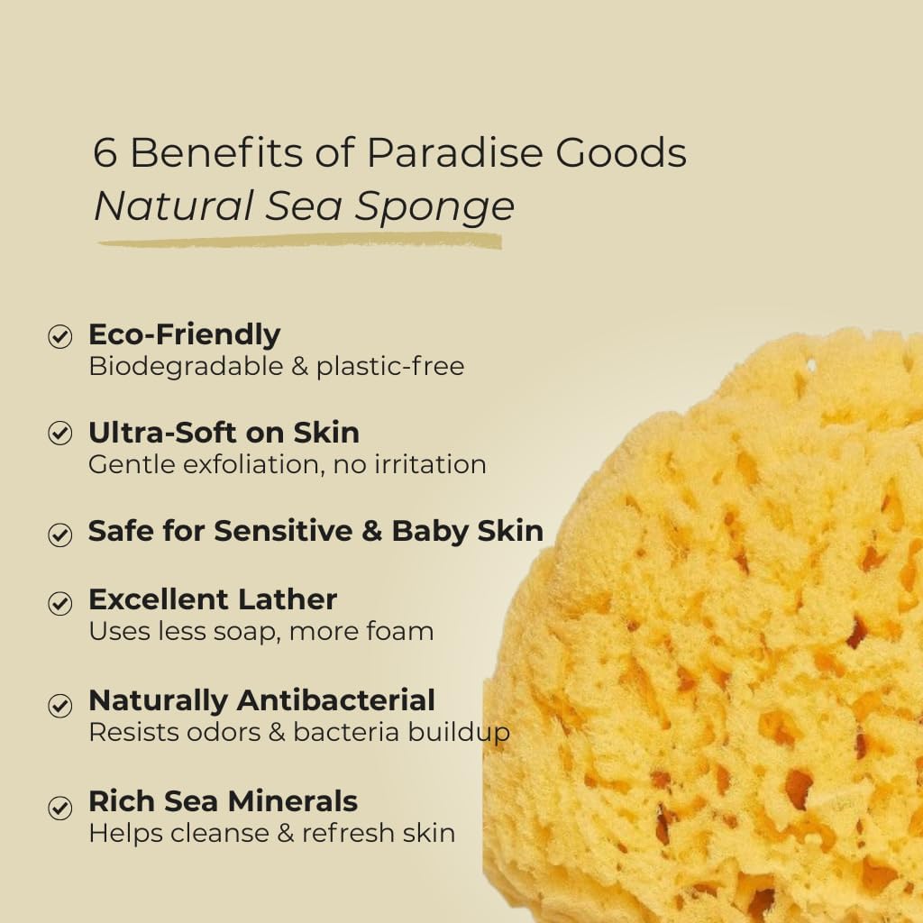 Sea Sponge for Bathing 5 inch-Softly Rough but Not Skin Irritating – Yellow, Natural Bath Sponge-Renewable Resource – Natural Sponge for Body and Shower-Lathers & Washes Really Well