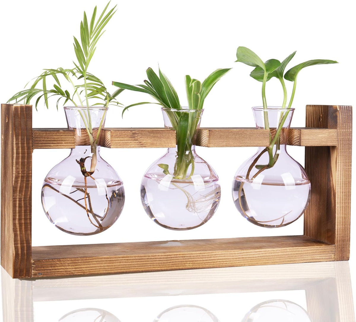 Kingbuy Glass Plant Terrarium Propagation Station, 3 Bulb, Pink | Colored Vases with Retro Wood Stand, Wall Mounted & Desktop, Indoor Garden Planter, Home Kitchen Wedding Decor