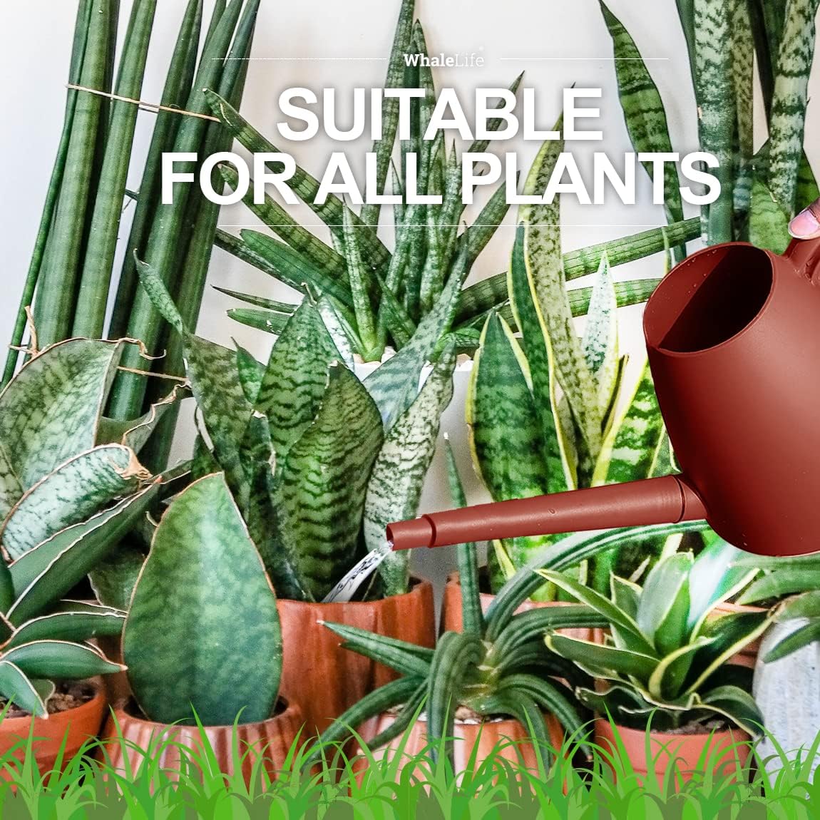 Indoor Plant Watering Can Long Spout Water Pot 2L/67oz Terra-Cotta Red