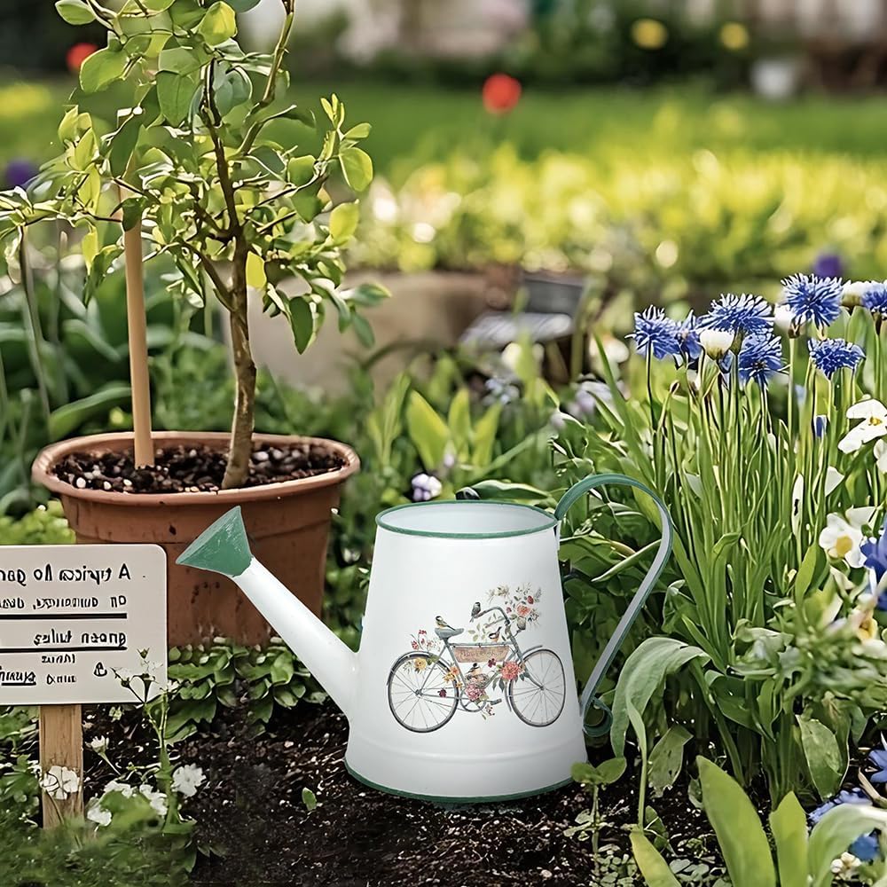 Small Metal Watering Can for Indoor & Outdoor Plants Garden Decor