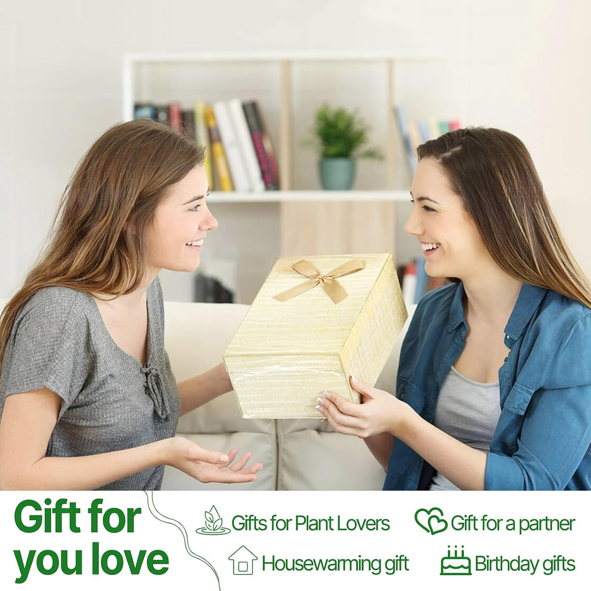 Plant Propagation Stations Heart Plant Terrarium Kit