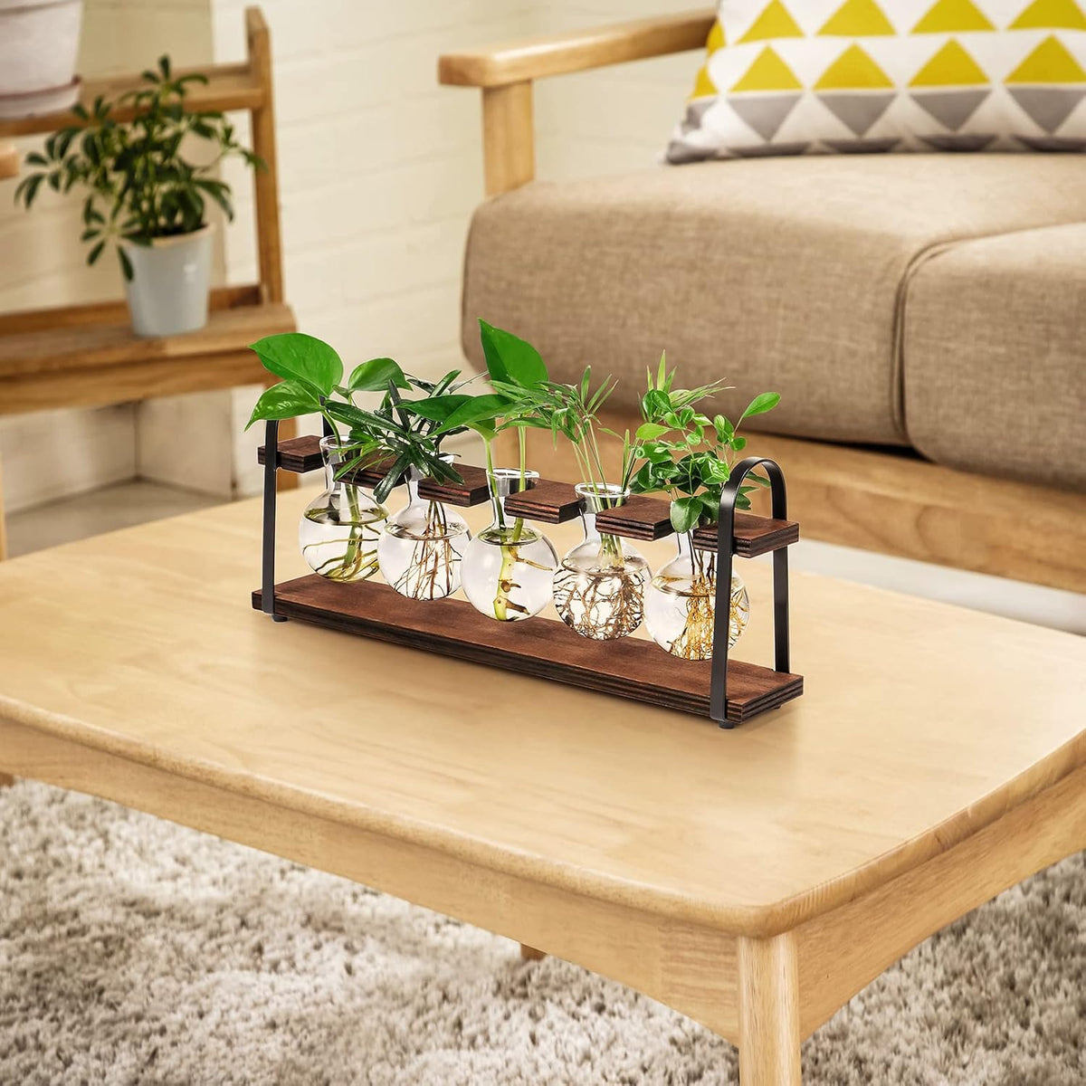 5-Bulb Plant Propagation Station, Glass Vase Terrarium, Wood Metal Stand