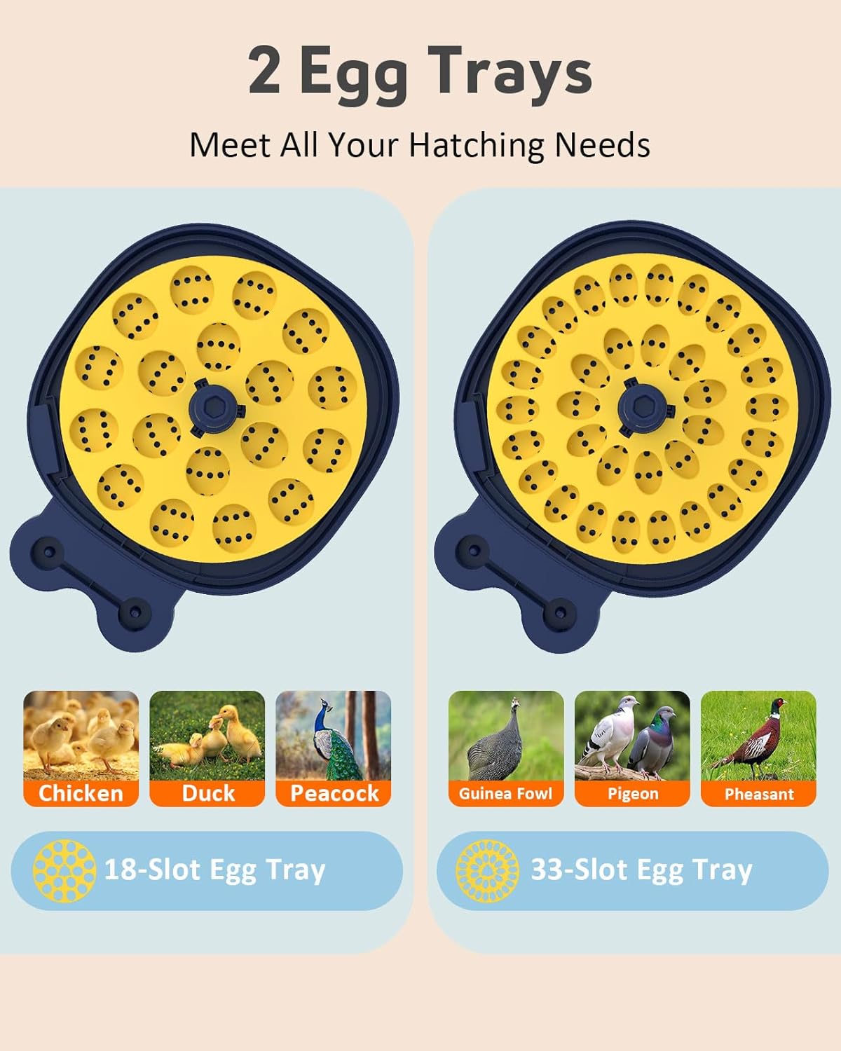 Egg Incubators for Hatching Eggs, Temperature & Humidity Control, Automatic Egg Turning for Hatch Chicken Duck Quail Pigeon Pheasant Partridge Home Classroom Lab with Water Bottle&Air Vent, 18 Eggs