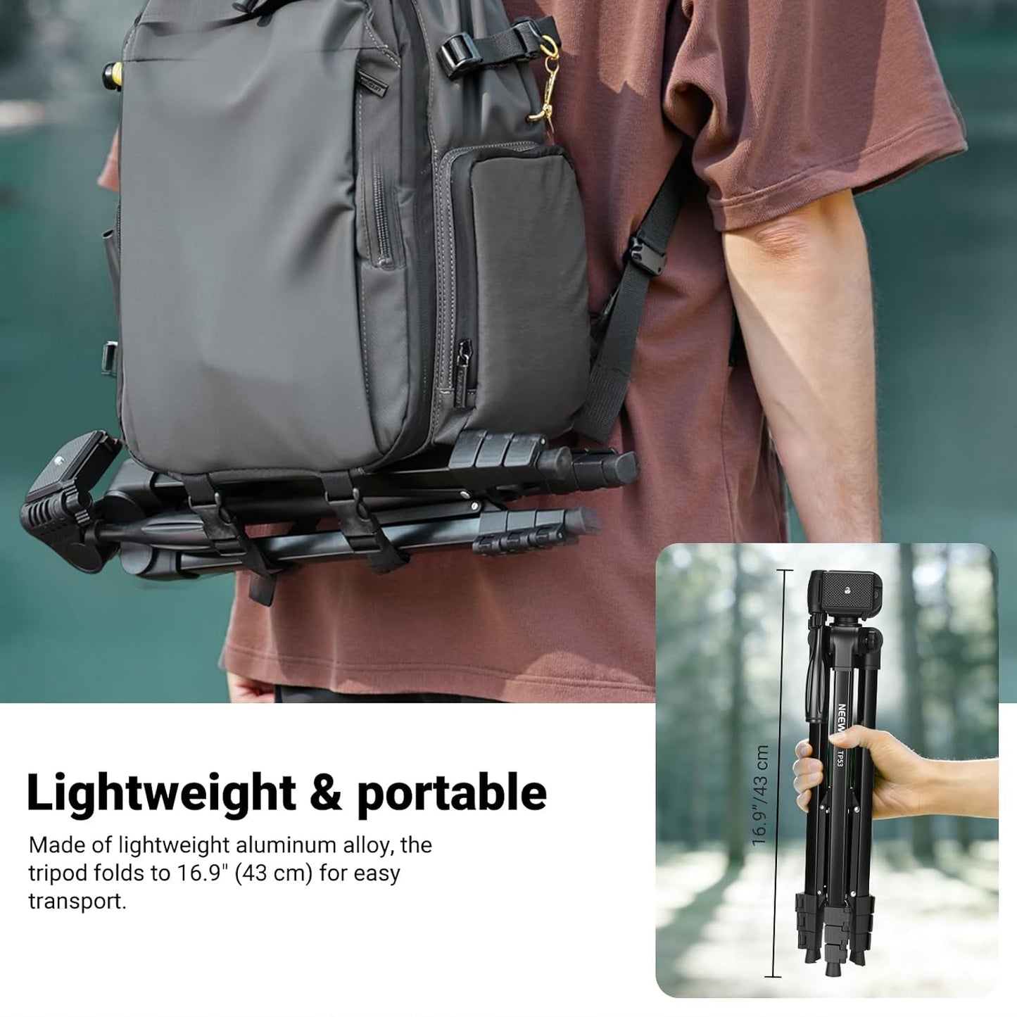 NEEWER Entry Level Version Tripod for Cell Phone & Camera, Metal Lightweight Portable Travel Stand with Cold Shoe Cellphone Holder Mount Compatible with iPhone for Video Recording Filming, TP53