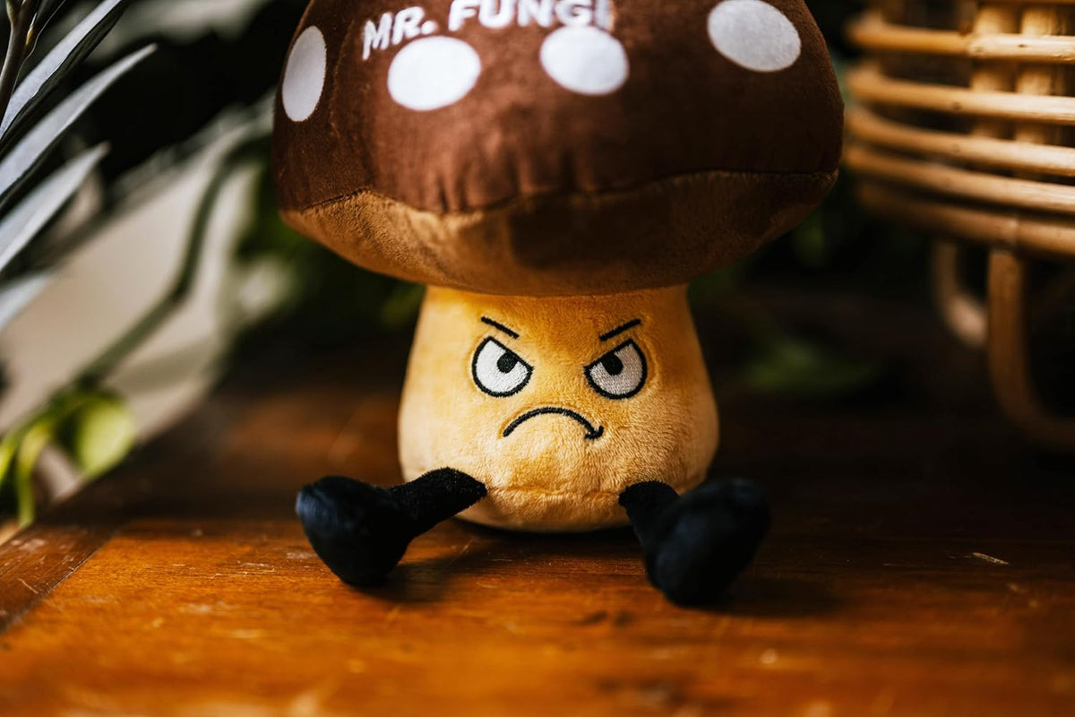 Punchkins Mushroom Plushie - No More Mr. Fungi Punny Mushroom Plush, Gift for Food Lovers, Sassy Plush Toy for Gifting