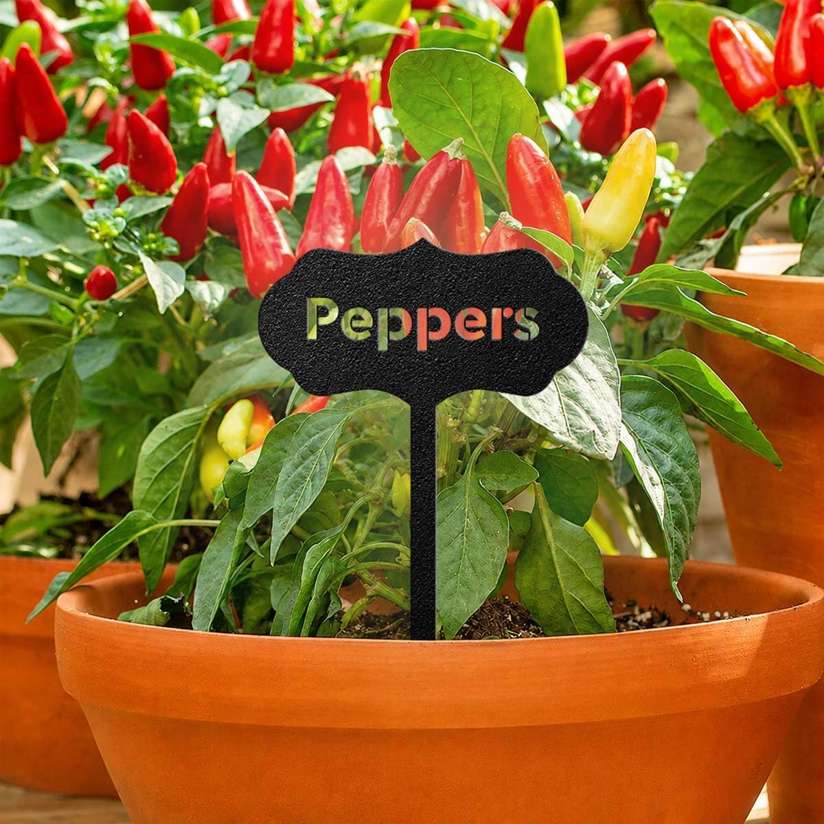 RealSteel Metal Seed & Plant Markers – Elegant Indoor & Outdoor Garden Stakes – Durable Herb, Vegetable & Fruit Plant Labels for Pots, Raised Beds & Greenhouse – Farmhouse Garden Gift - Rosemary