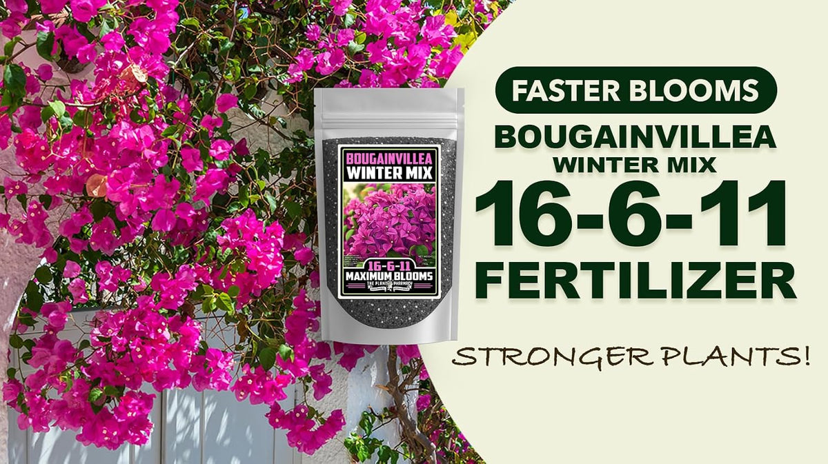Fertilizer Commercial Grade | Bougainvillea Winter Mix 16-6-11 | 3 Pounds | Custom Professional Mix | Cold-Season Bloom Formula | Controlled Release Nutrition | Micronutrients | Vivid Color & Growth