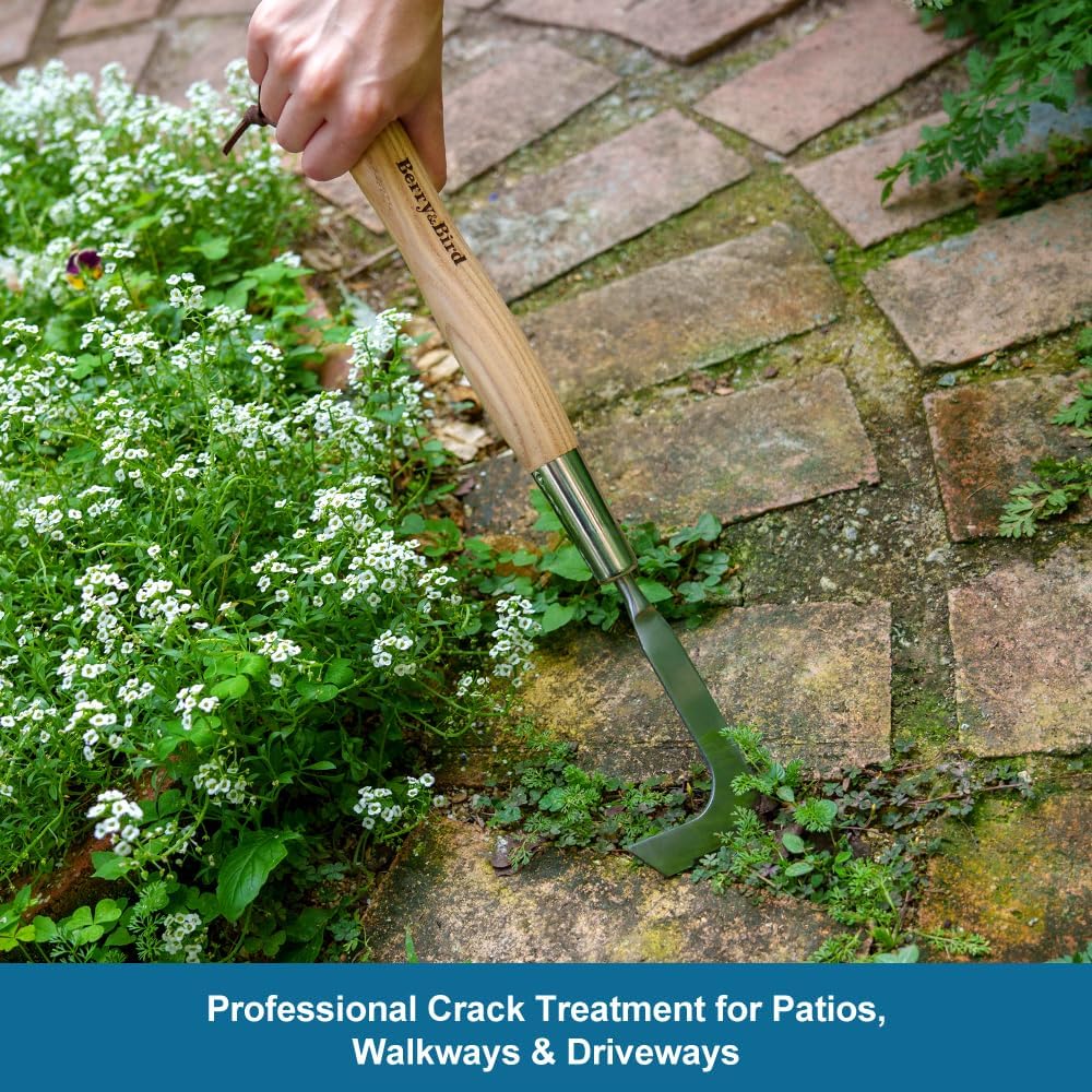 Crack Weeder Tool, L-Shaped Crevice Weeding Tool Garden Tools
