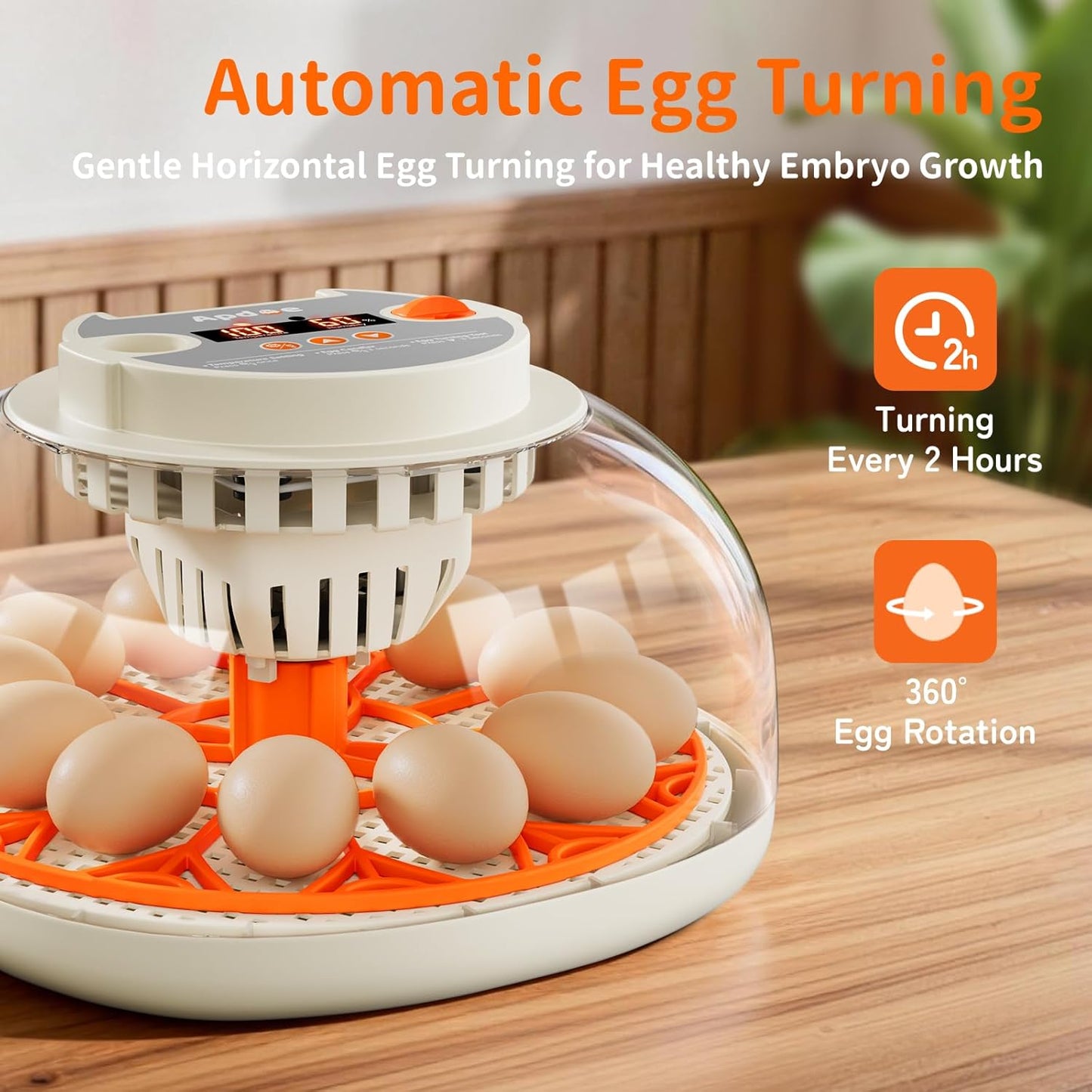 APDOE Egg Incubators for Hatching Eggs, Temperature and Humidity Control, Automatic Egg Turning, Egg Candler, External Water Bottle, Air Vent, for Chicken, Duck & Quail Eggs, 12 Eggs