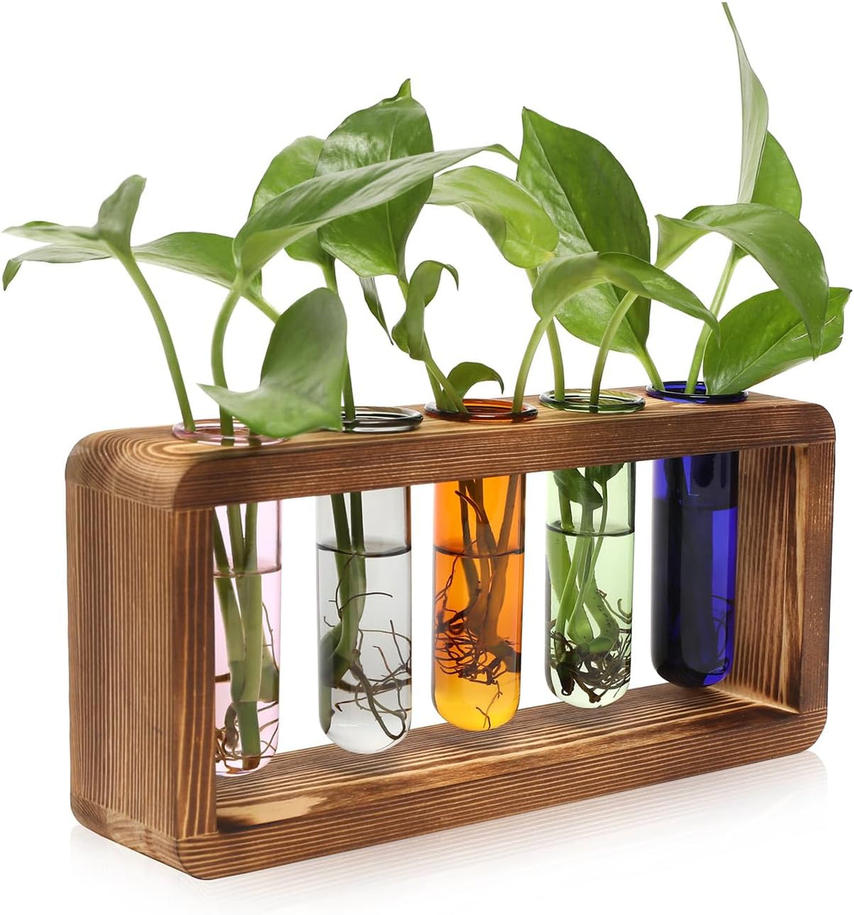 Glass Plant Propagation Station with 5 Test Tubes Colorful Planter Vase