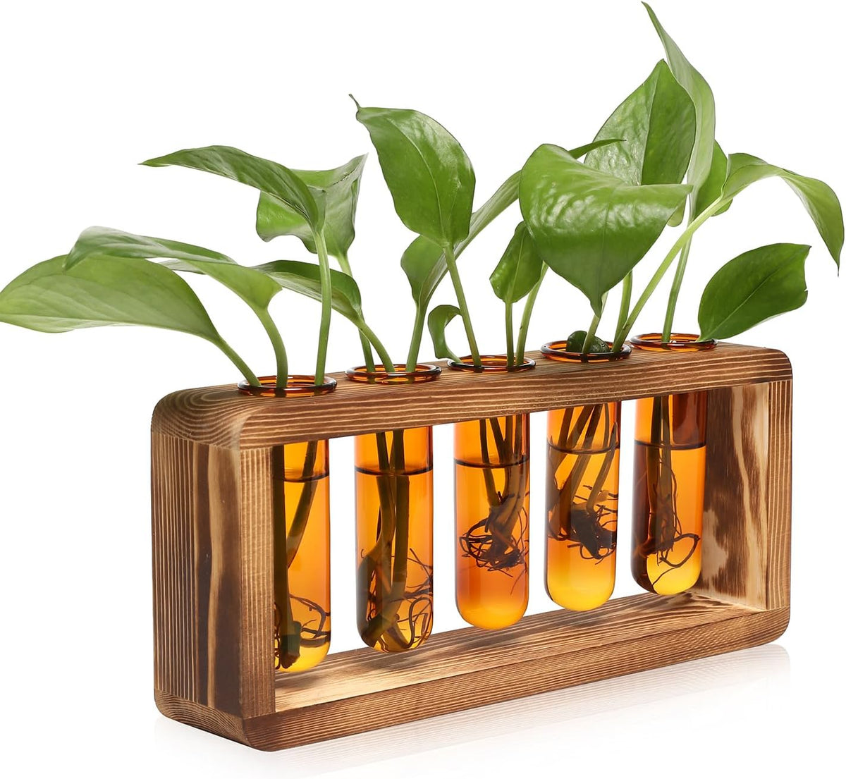 Glass Plant Propagation Station with 5 Test Tubes Colorful Planter Vase