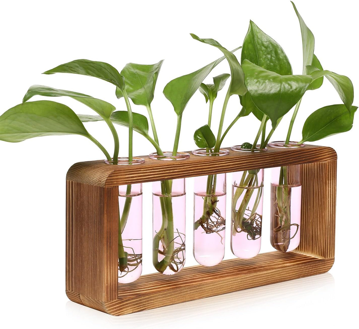 Glass Plant Propagation Station with 5 Test Tubes Colorful Planter Vase