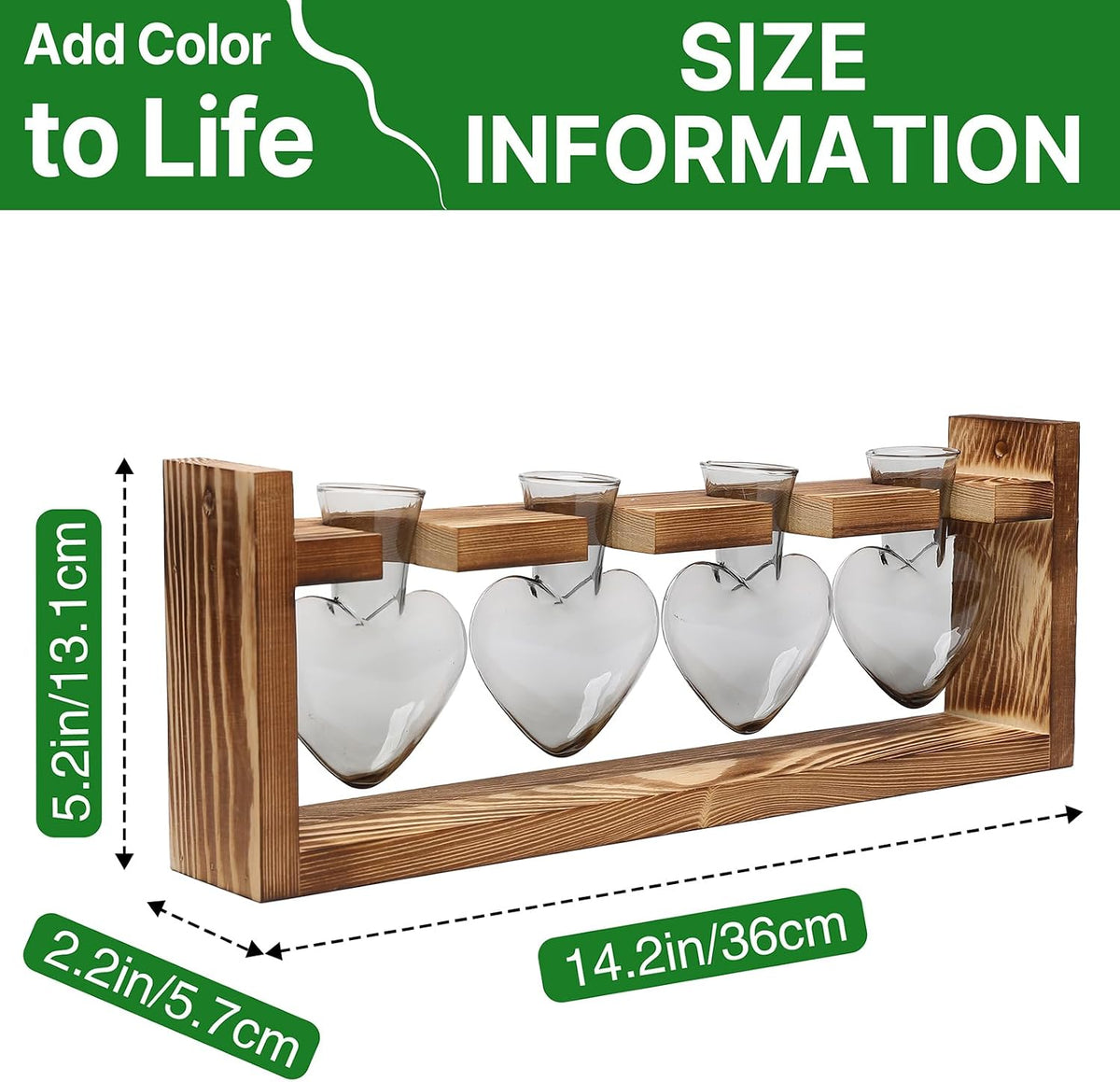 Plant Propagation Stations Heart Plant Terrarium Kit
