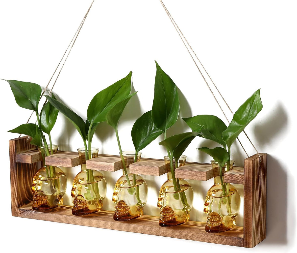 Plant Terrarium Propagation Stations Halloween Skull Planter Vase Skulls