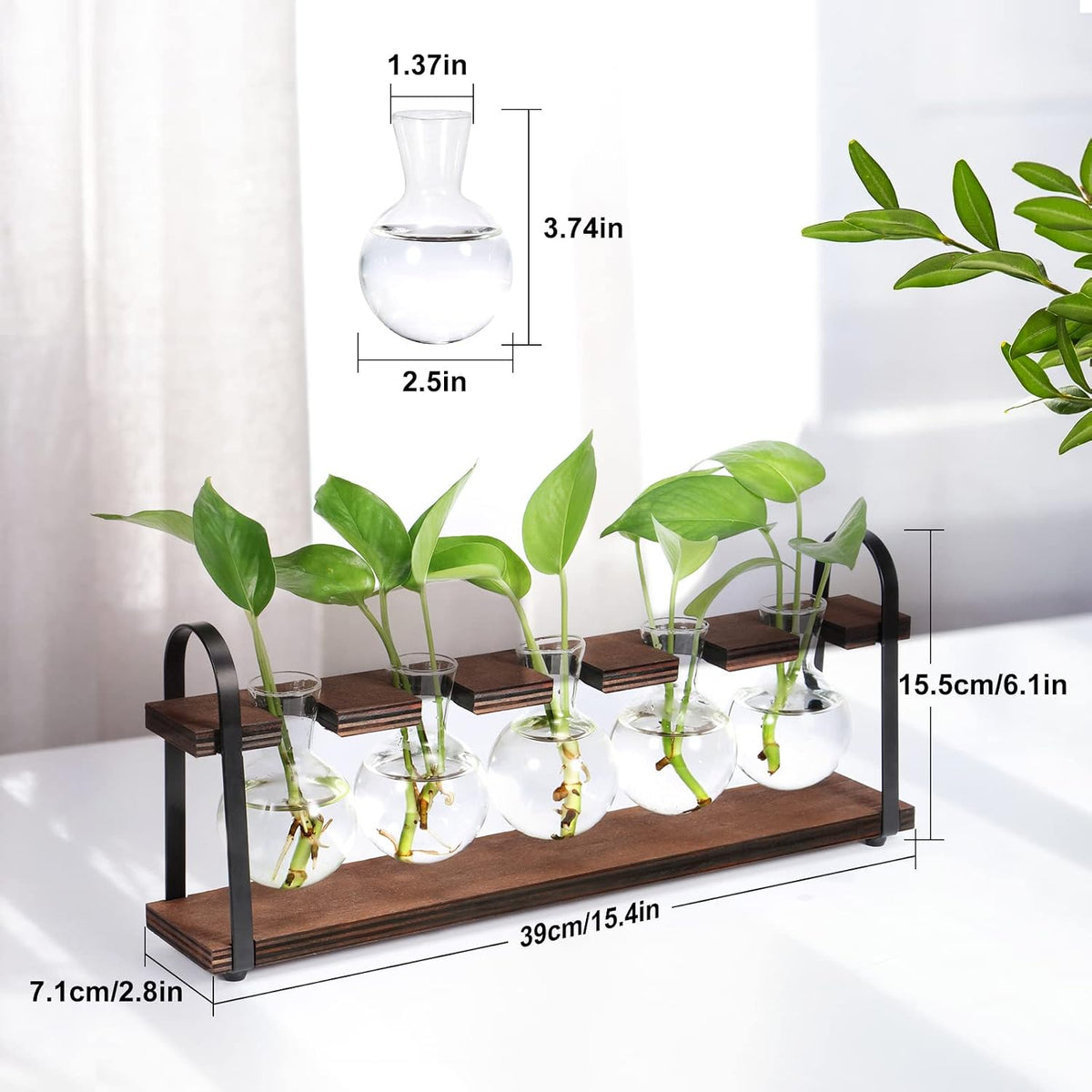 5-Bulb Plant Propagation Station, Glass Vase Terrarium, Wood Metal Stand