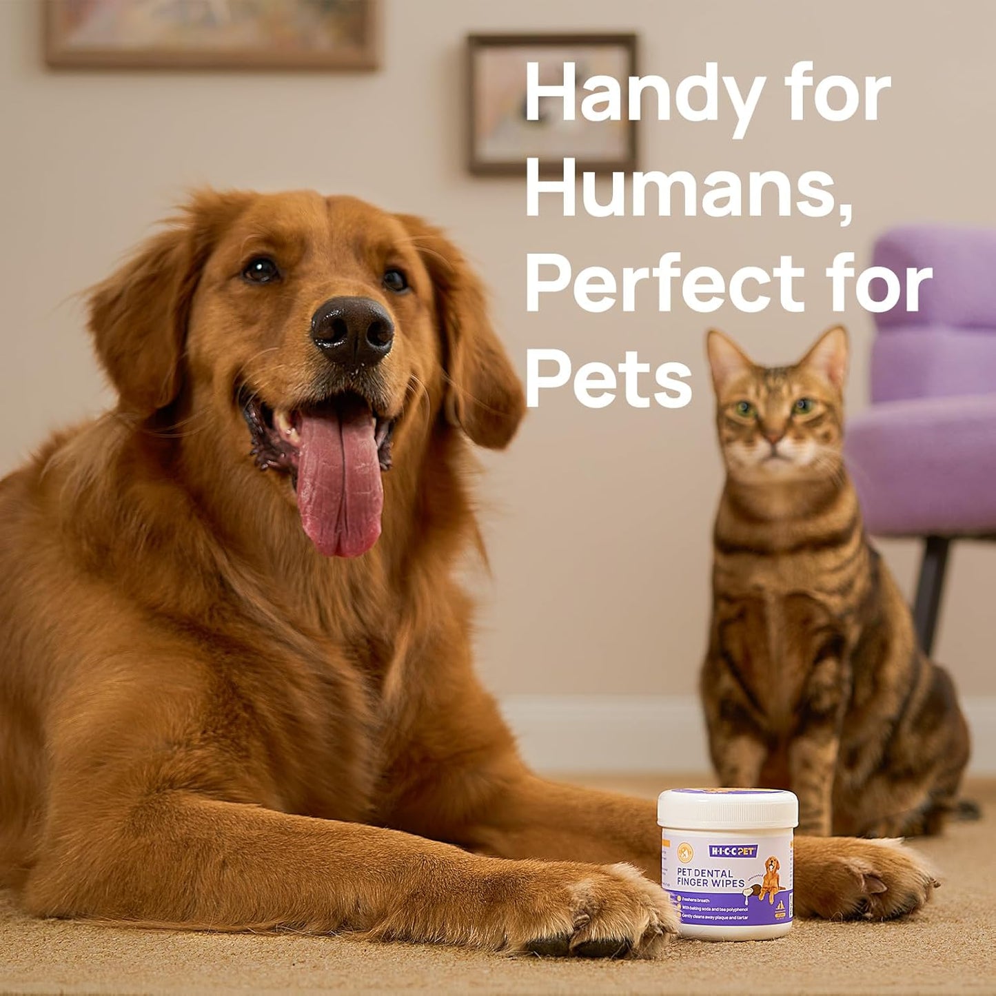 HICC Pet Teeth Cleaning Wipes for Dogs & Cats, Vet-Recommended Remove Bad Breath & Plaque & Tartar Buildup, Dog Tooth Brushing Kit, Dog Breath Freshener, Dogs Toothbrush & Toothpaste Alternatives