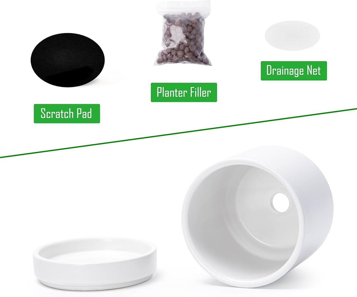 D'vine Dev 2-Pack Ceramic Pots & Saucers, White, 3.5/4.7 in, 94-G-XS-1