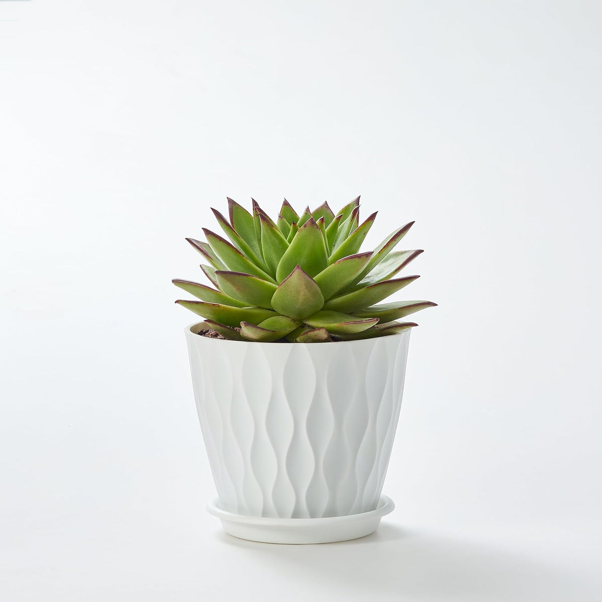 FaithLand 6-Pack 6-Inch Plastic Plant Pots with Saucers | Thickened PP Material, Modern Wave Texture, Enhanced Drainage for Indoor/Outdoor Garden Plants | White Value Set