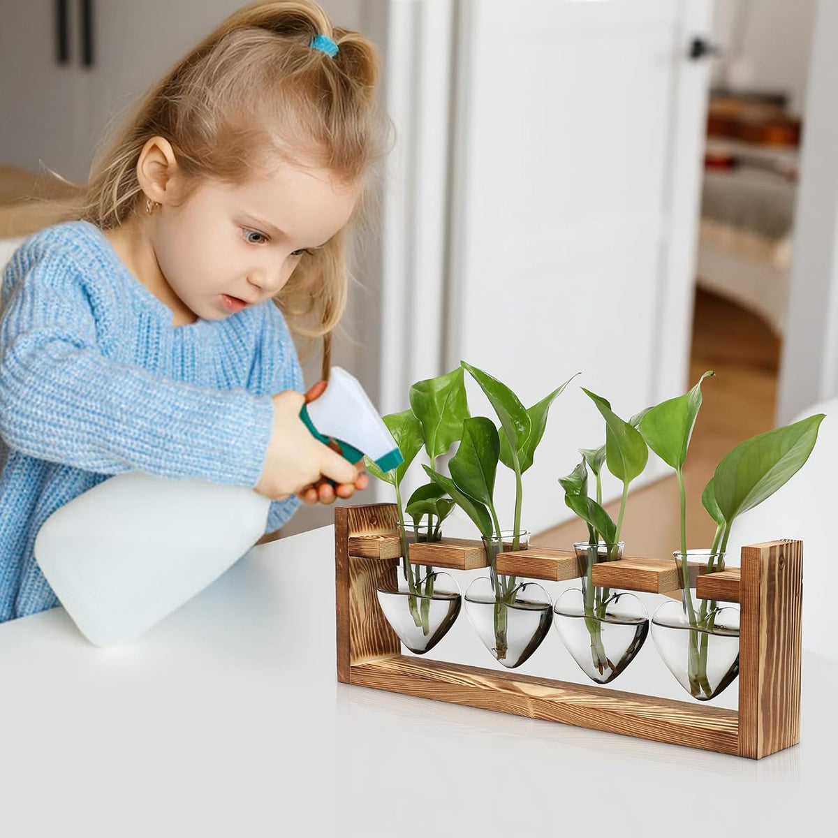 Plant Propagation Stations Heart Plant Terrarium Kit
