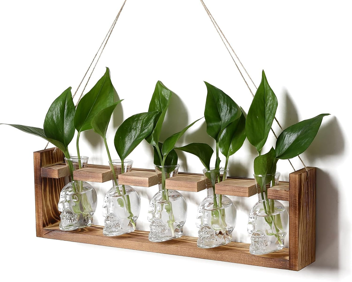 Plant Terrarium Propagation Stations Halloween Skull Planter Vase Skulls